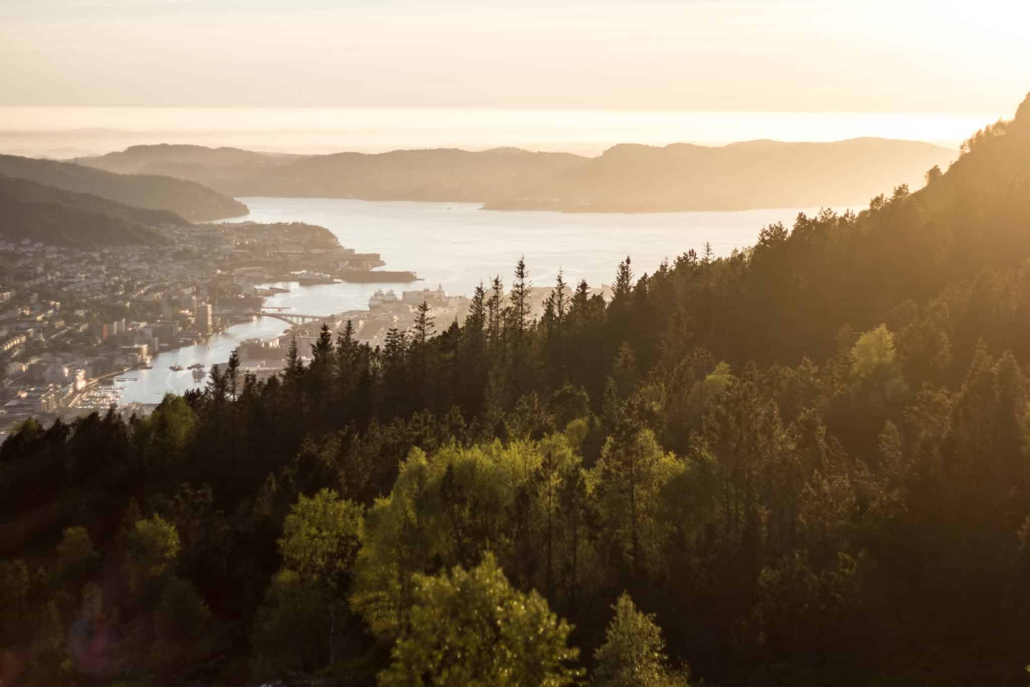 Utsiktsbilde over Bergen, tatt på vei ned fra Ulriken. Sola lyser i sentrum og over Askøy, trær i forgrunnen