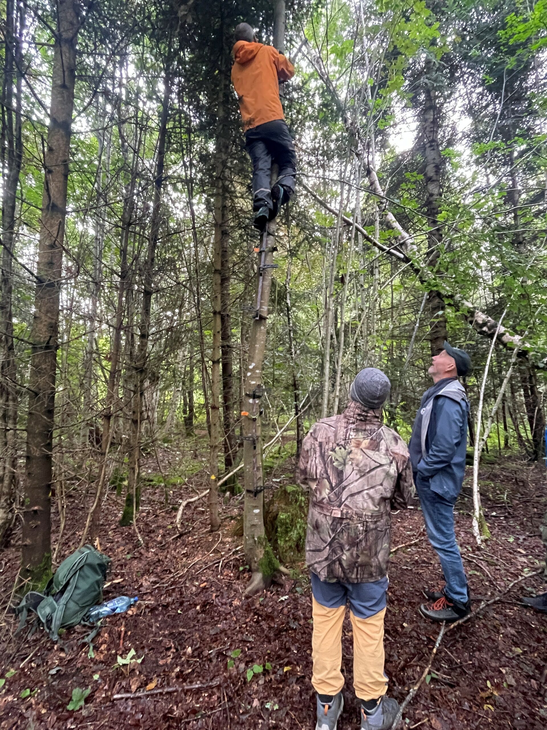 Lyttebokser i Retiroskogen