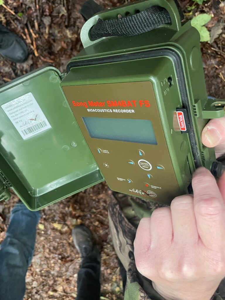 Viser en lytteboks for flaggermus.