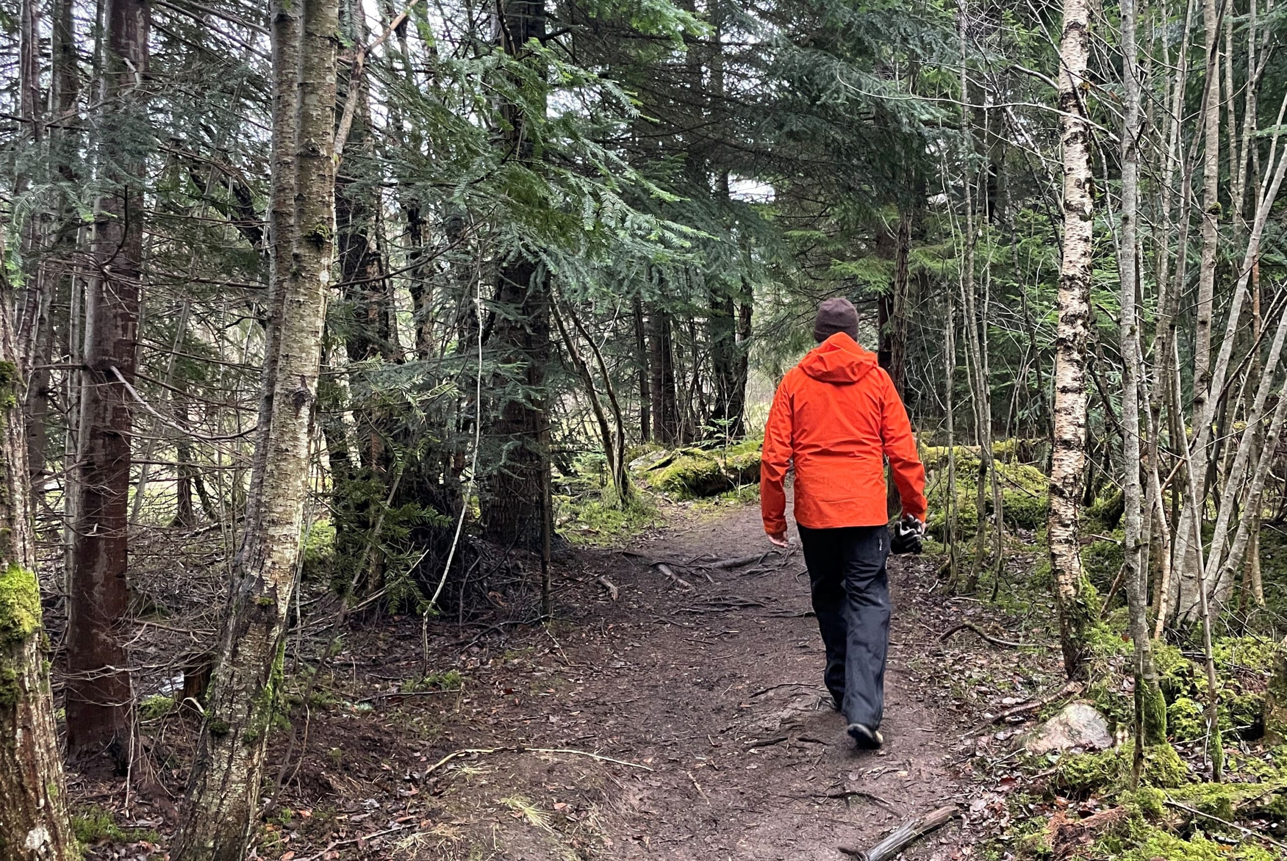 Bilde av person som går i Retiroskogen.