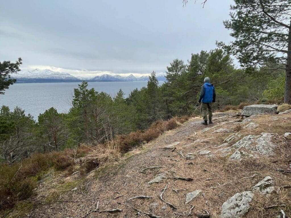 Man som ser utover skog, fjell og fjord.