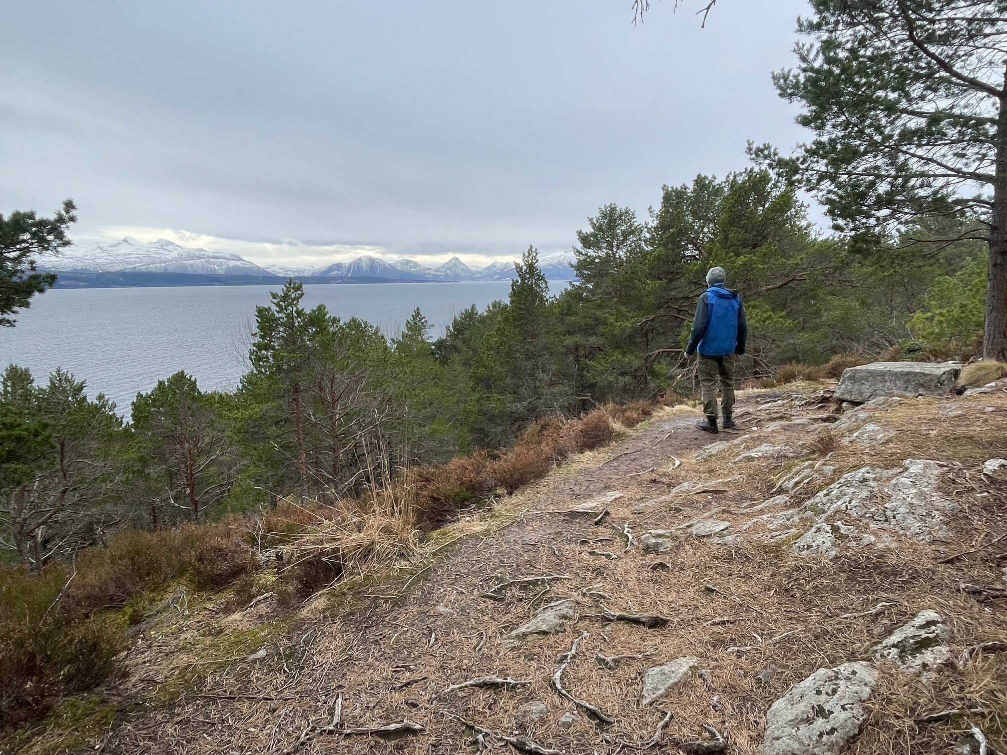 Man som ser utover skog, fjell og fjord.