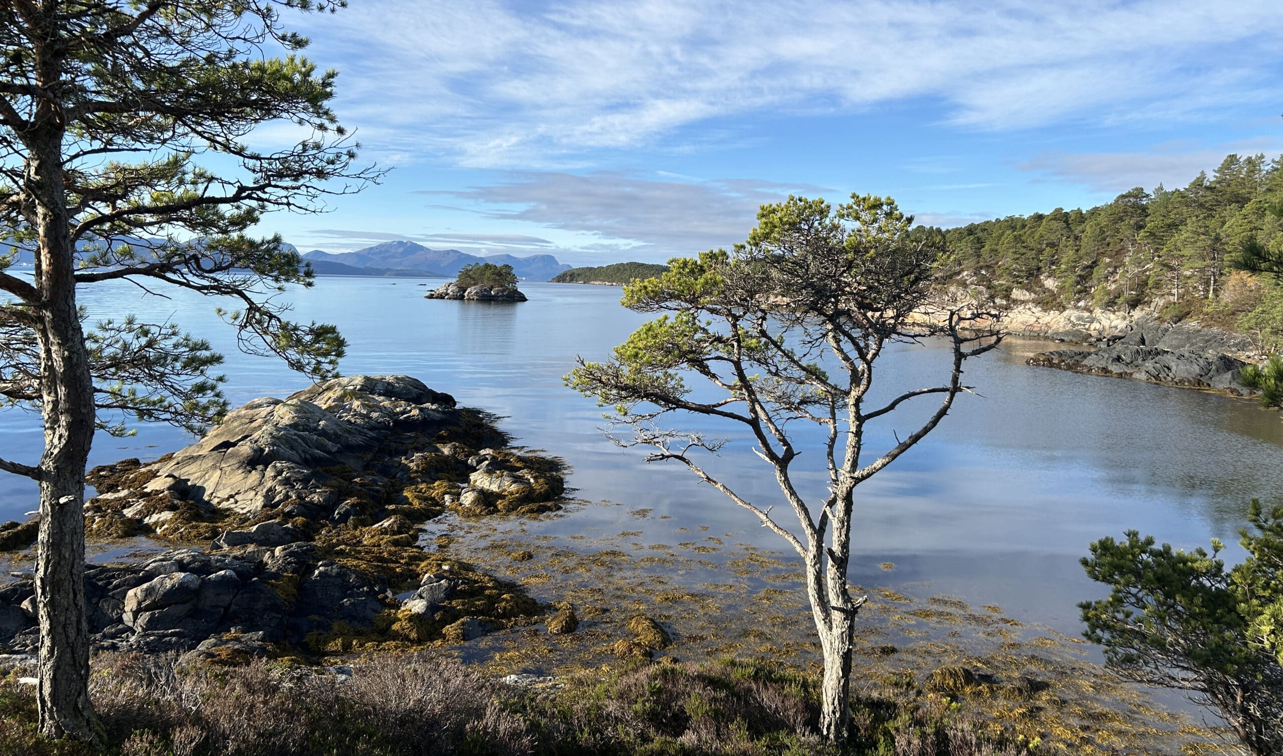 Strandnatur på Bolsøya