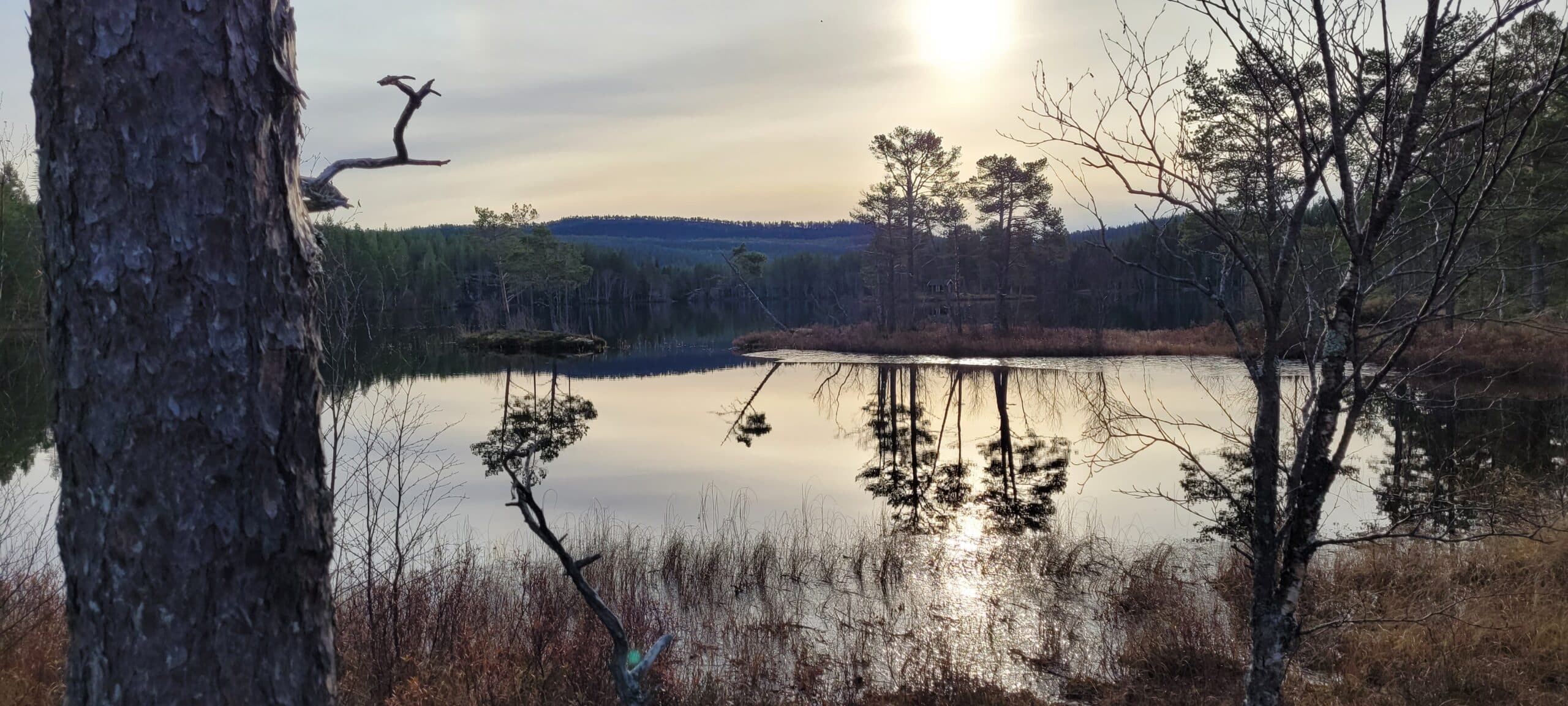 Frigården i oktober 2025