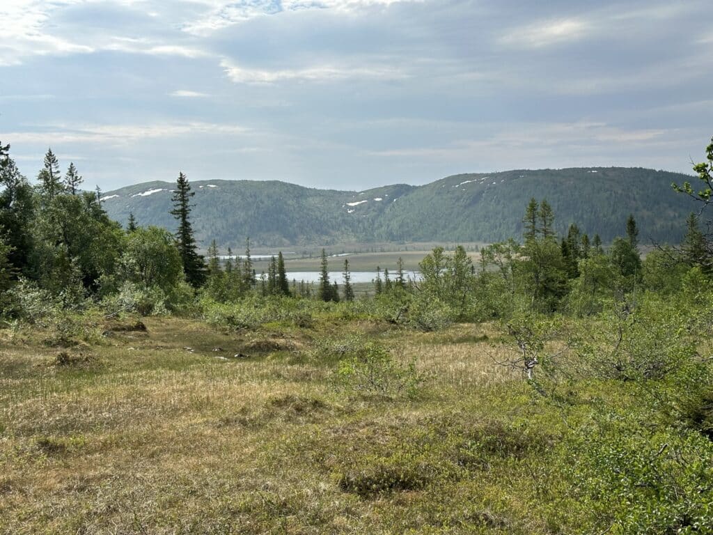 Naturvernforbundet Garbergselva i Selbu