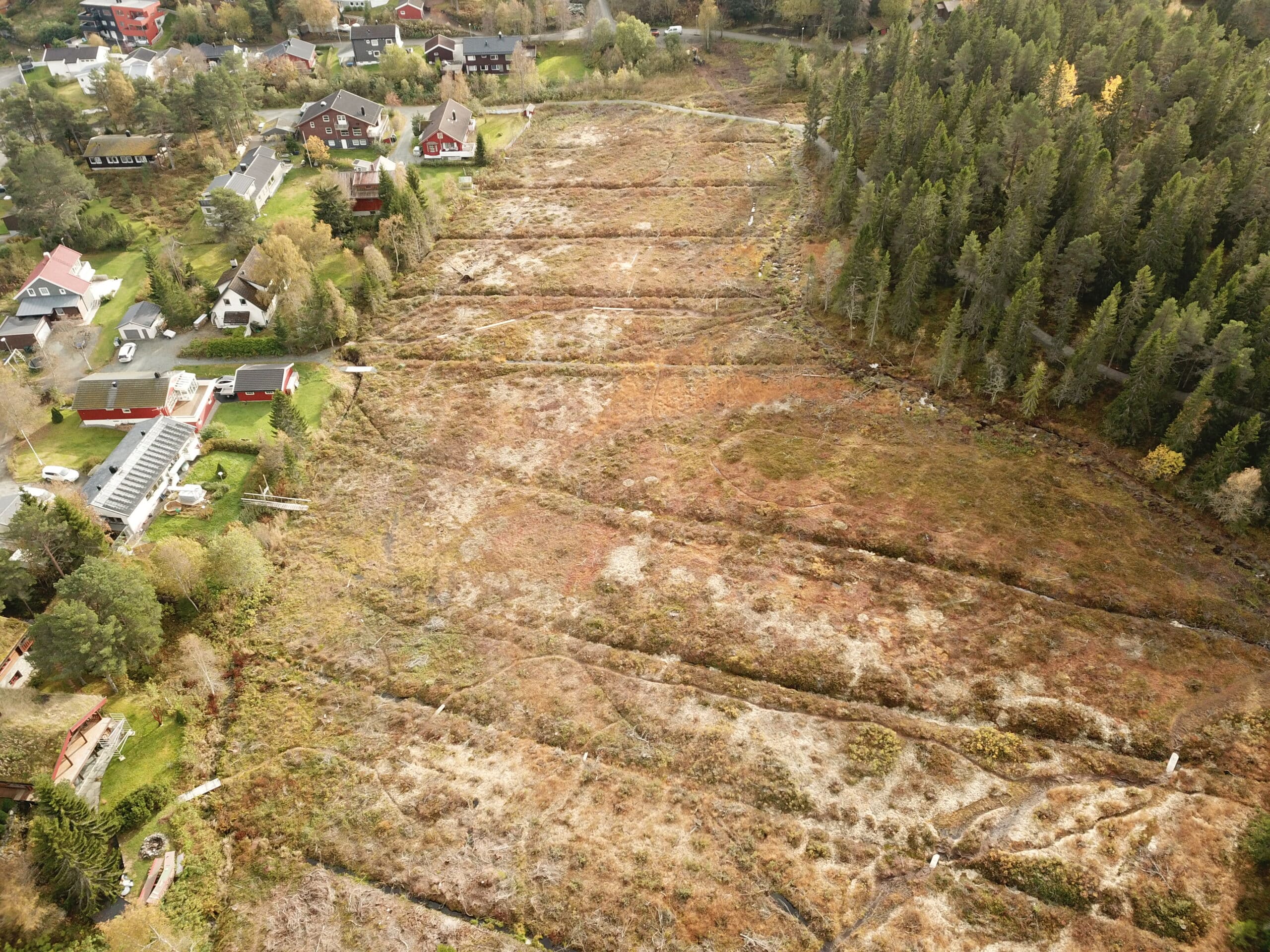 Naturvernforbundet Trøndelag