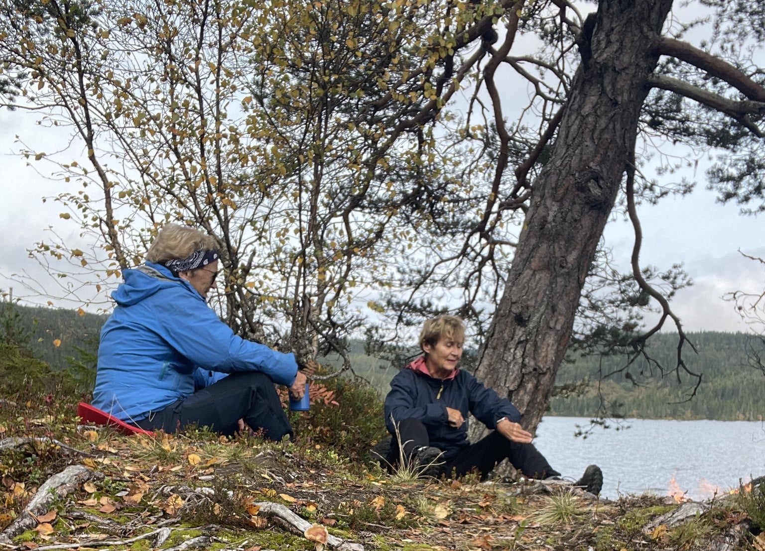 Skogsbading Naturvernforbundet