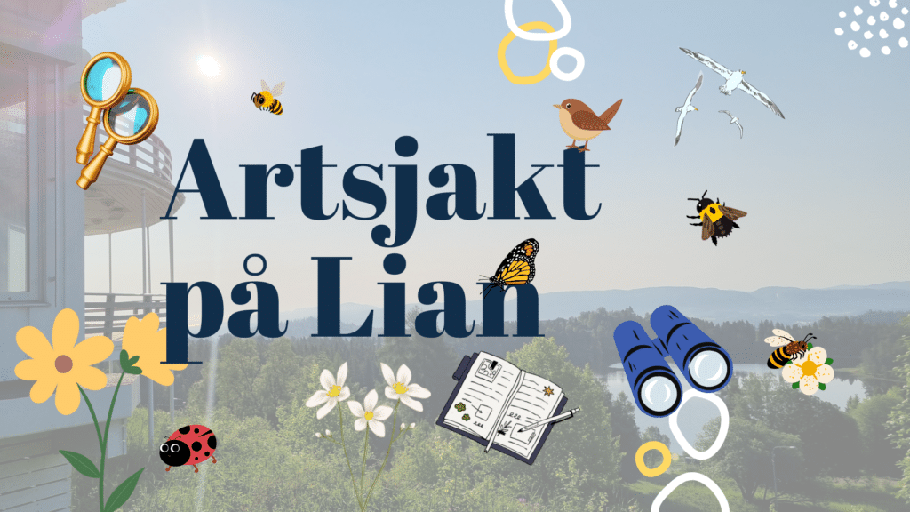Naturglede for alle Naturvernforbundet Trøndelag