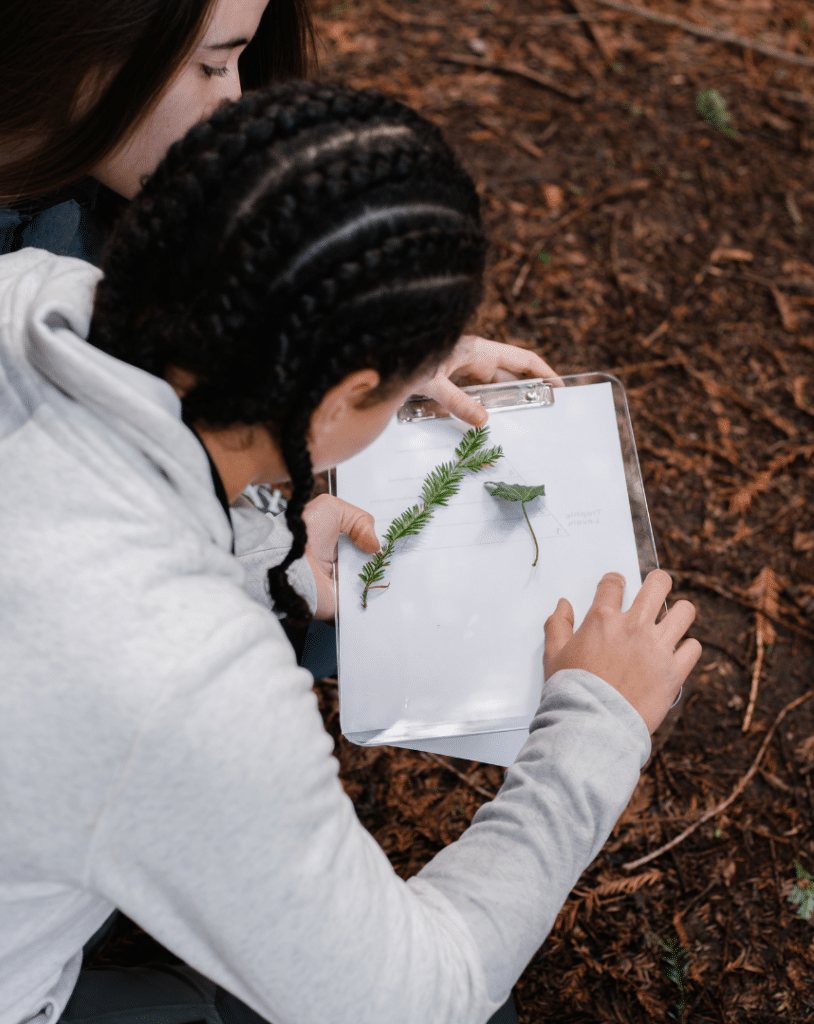 Skogsglede Naturvernforbundet i Trøndelag