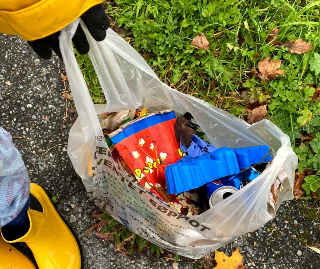 Strandryddedagen Trøndelag