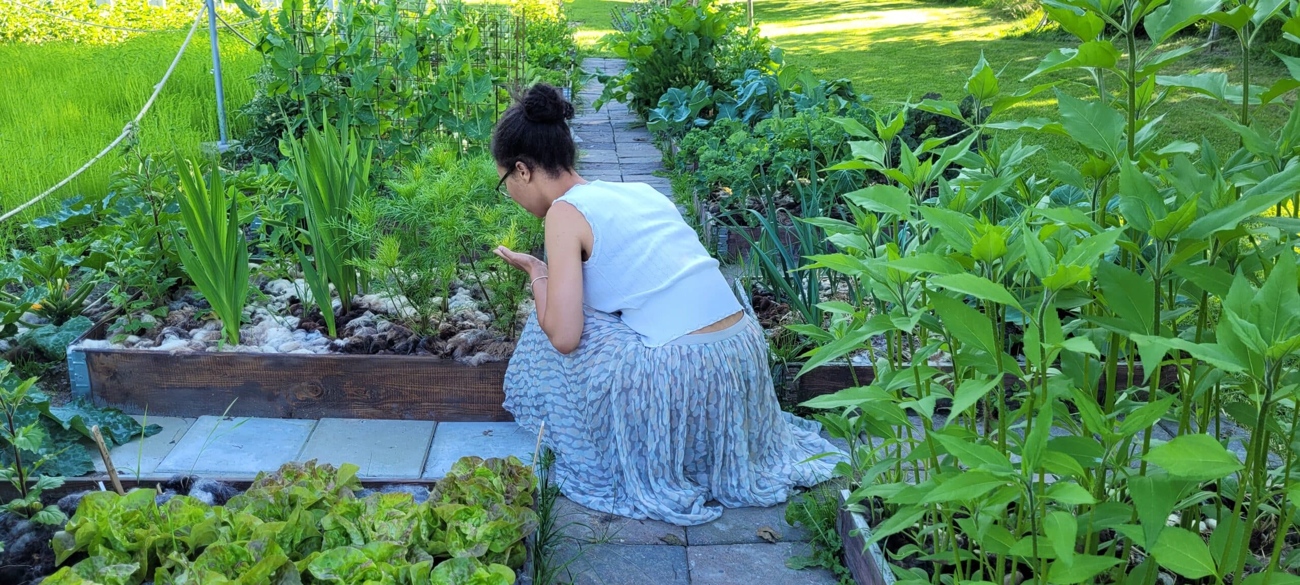 Kål, løk, rotgrønnsaker, salat..