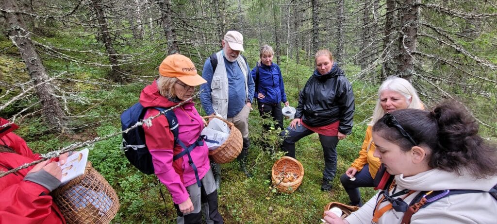 #VISTÅROPPFOR NATUREN, SKOGEN, ALL SOPP, ALT SOM KRYPER OG GÅR OG ALT SOM BARE STÅR OG KANSKJE BLAFRER I VINDEN
