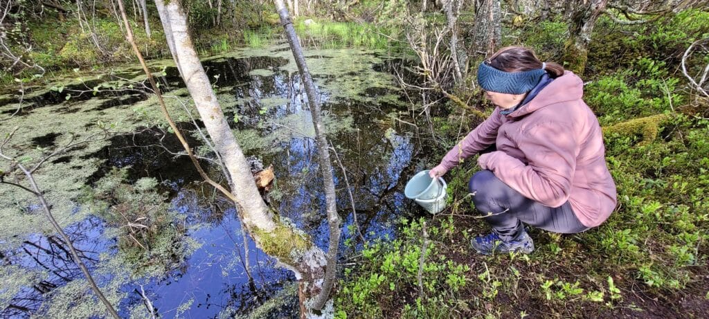 Naturvennlig friluftsliv i nærnaturen