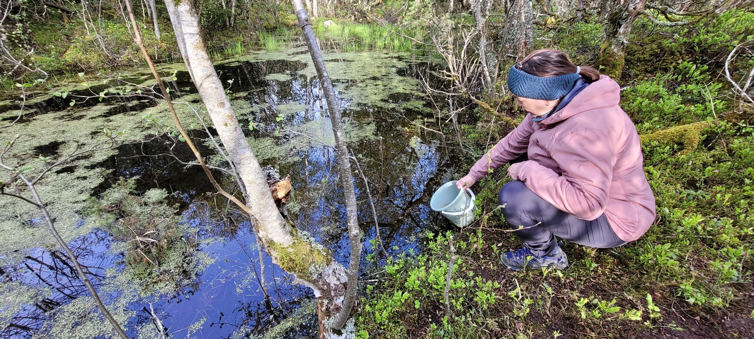 Naturvennlig friluftsliv i nærnaturen