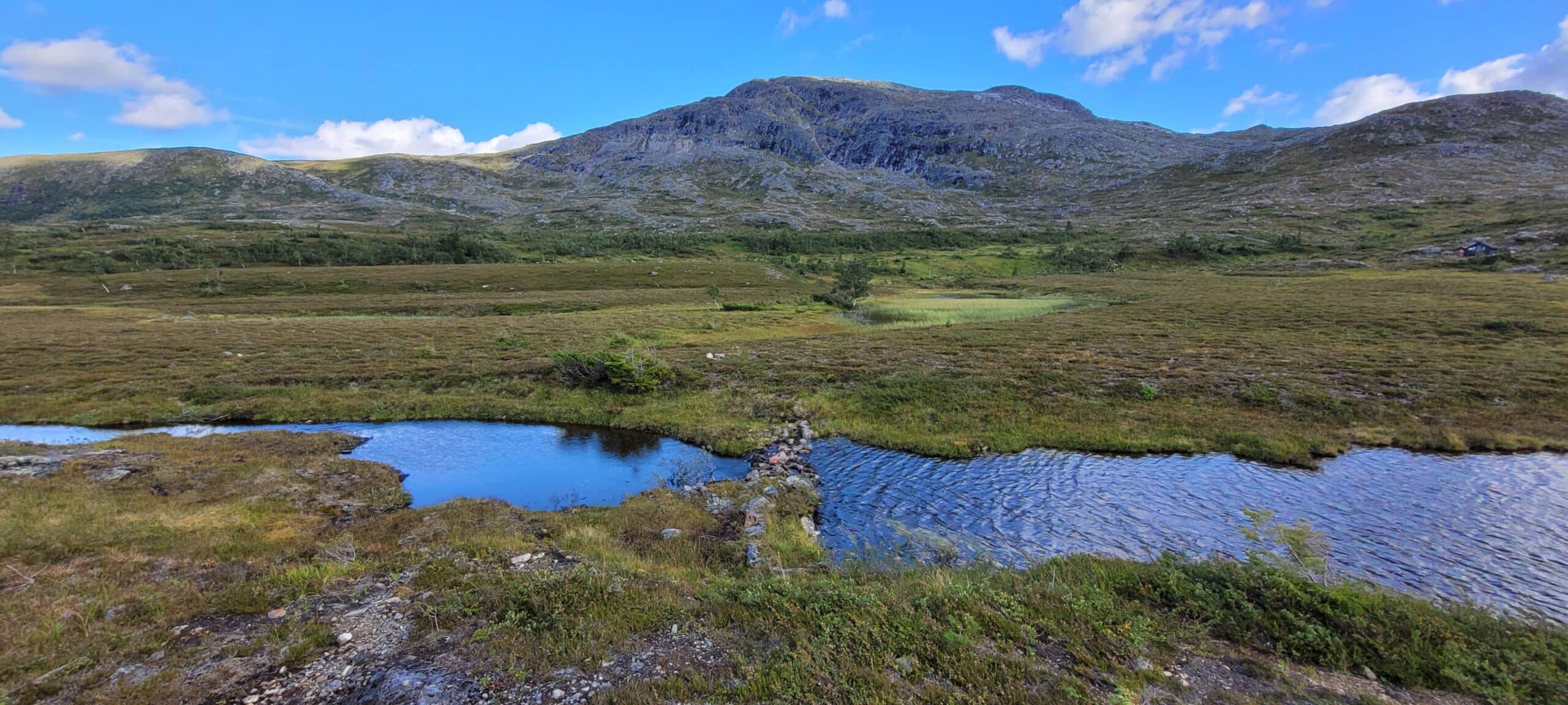 Skarvan og Roltdalen