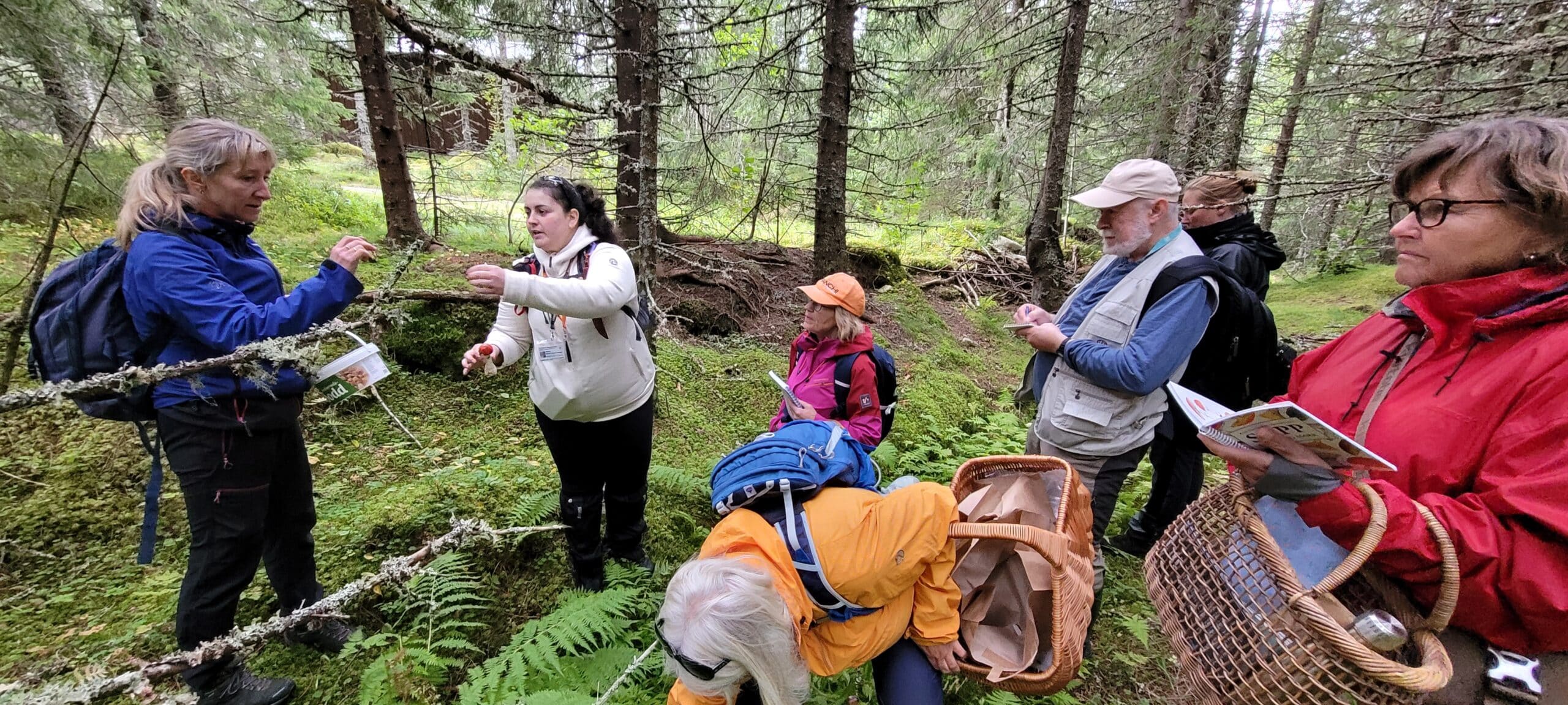 Soppkurs med Mæla Øvre