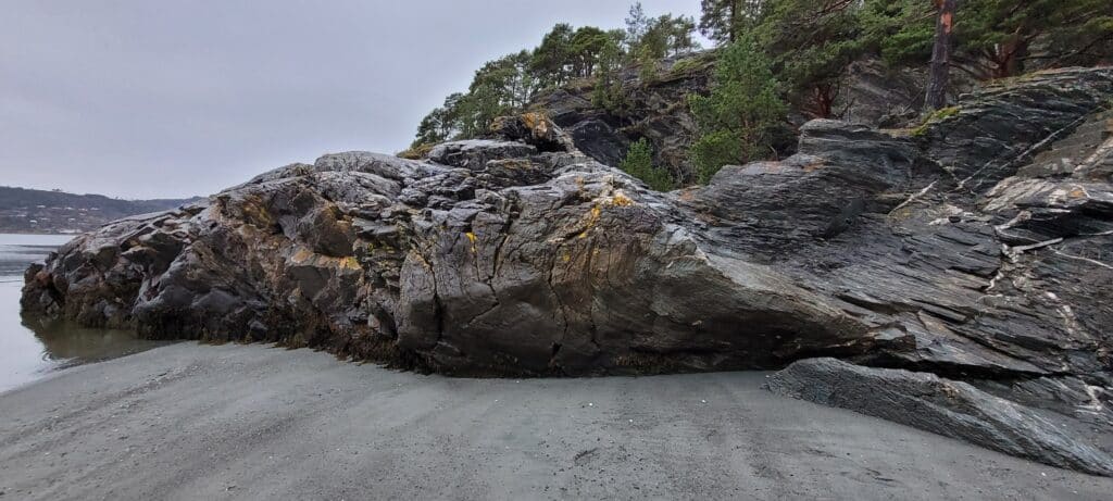 Fra Storvika, Stjørdal