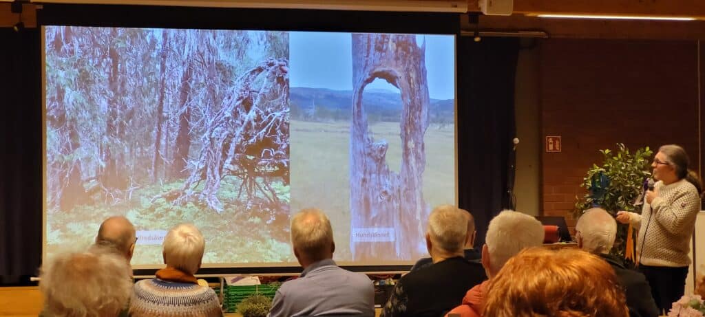 Anders Lyngstad fra NINA