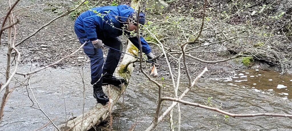 Roar er en god rydder som ikke er redd for å falle uti