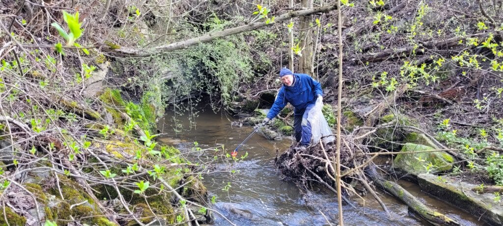 Fine omgivelser for å rydde. Roar strekker seg for å få med alt.