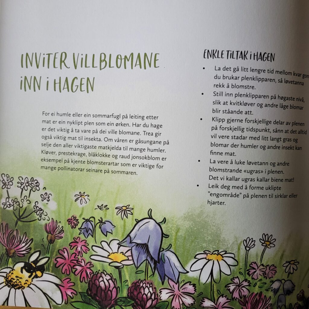 Tips til enkle tiltak i hagen