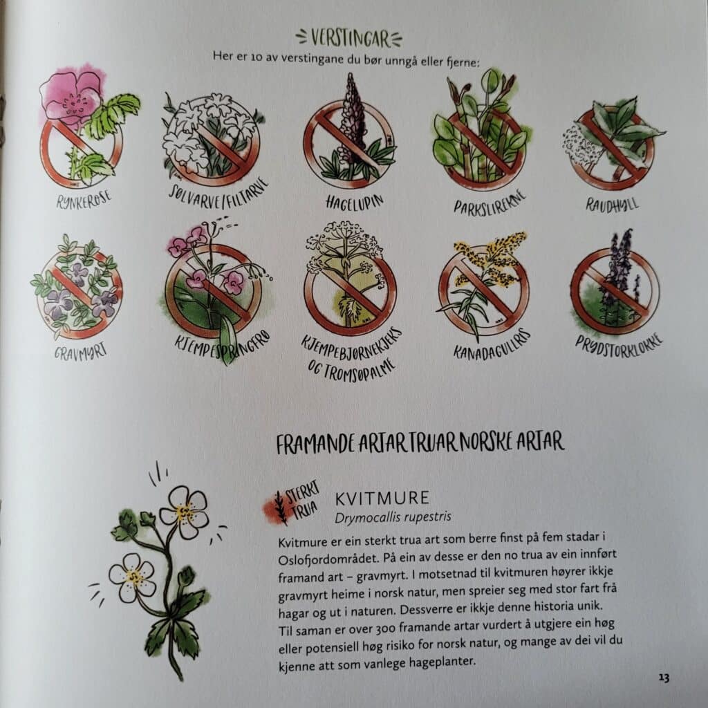 Verstinger i hagen og ikke minst utenfor hagen!