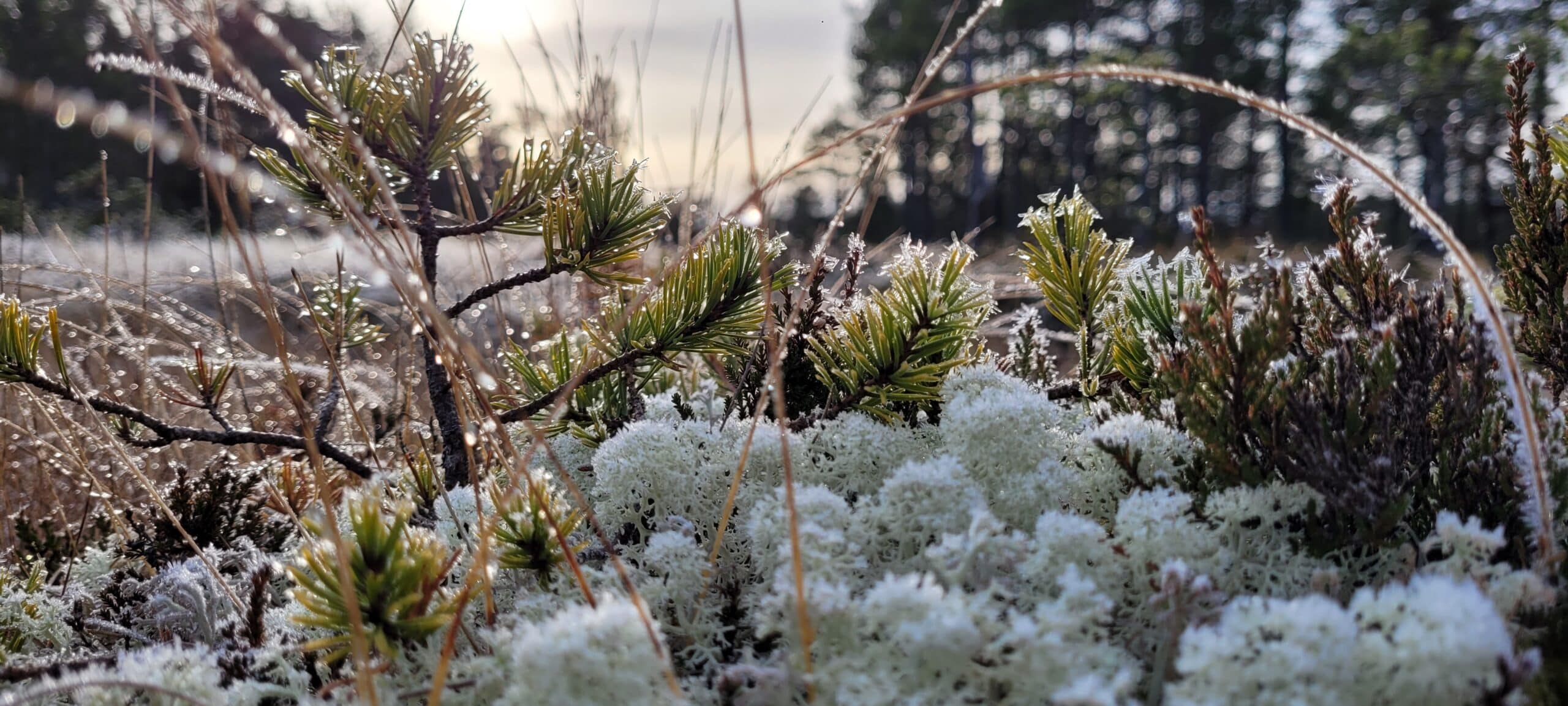 La ikke ny næringspark ødelegge Frigården