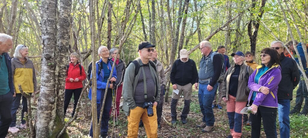 Folk i hasselskogen