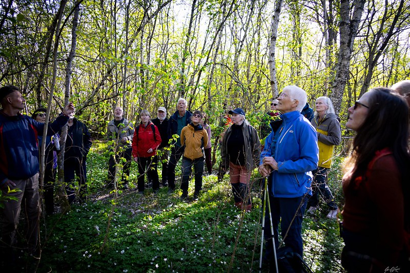Kunnskap om trær i lauvskogen