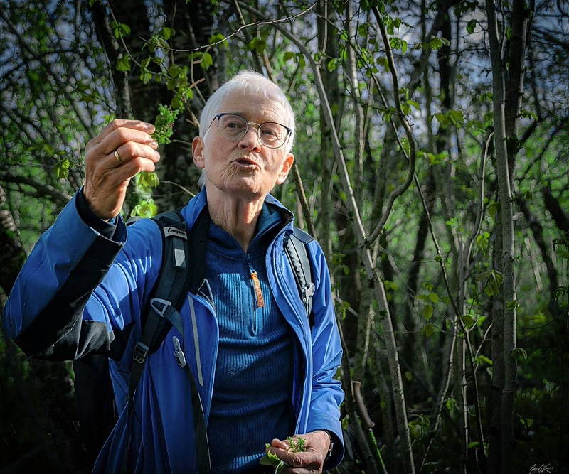 Ingerid Angell-Petersen fortalte om plantene i skogen