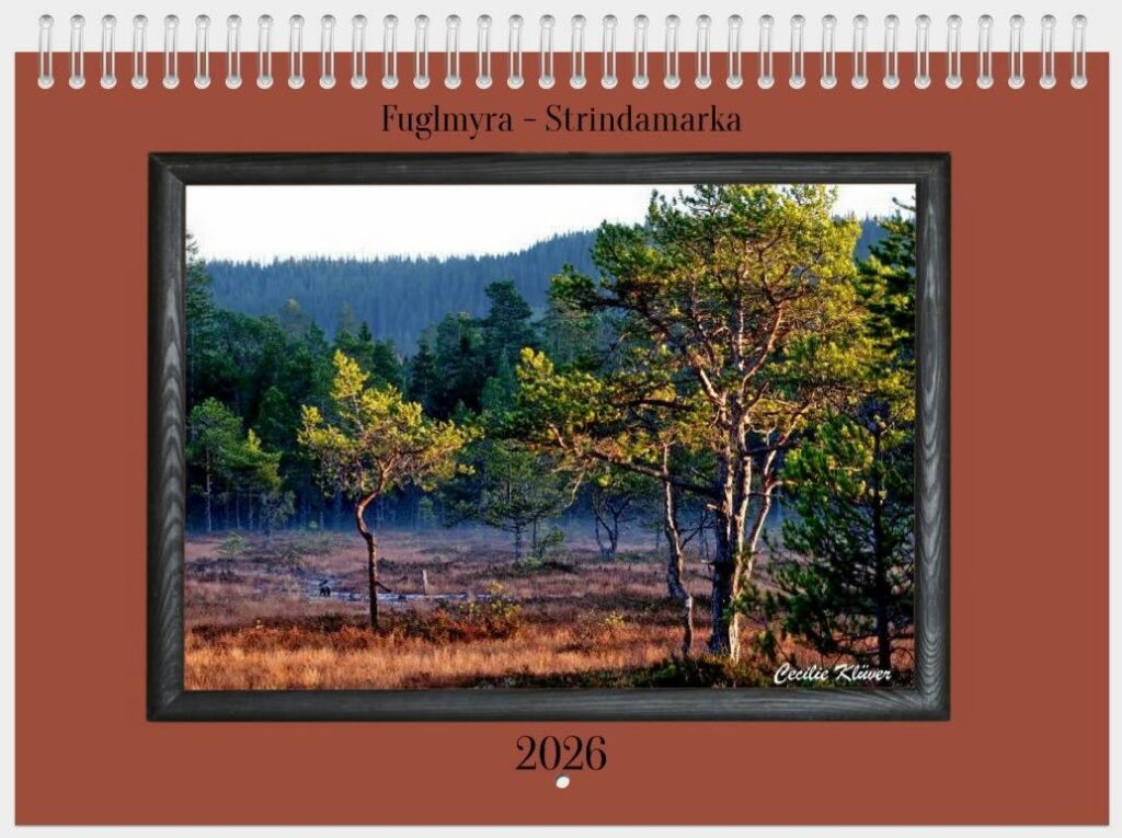 Bilde av en kalender med skog og myr på forsiden.