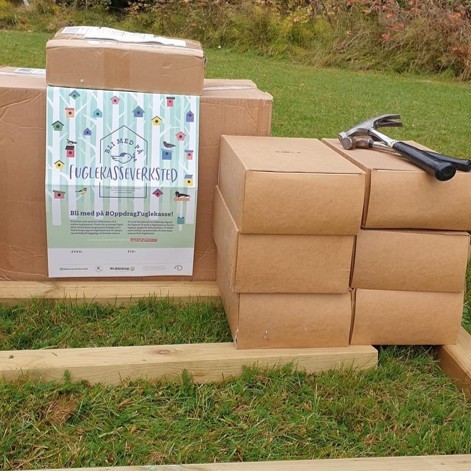 Snekring av fuglekasser