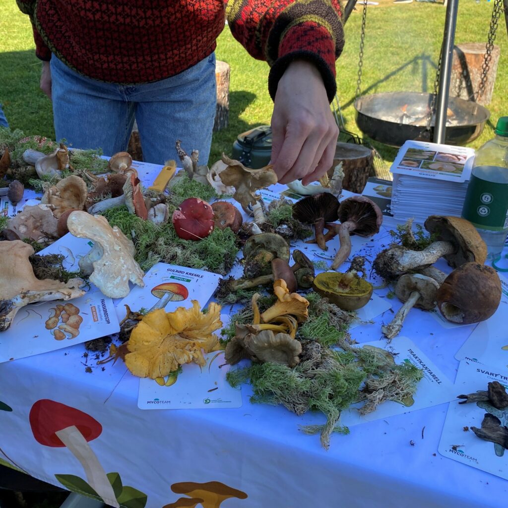 Soppforeningen har soppkontroll