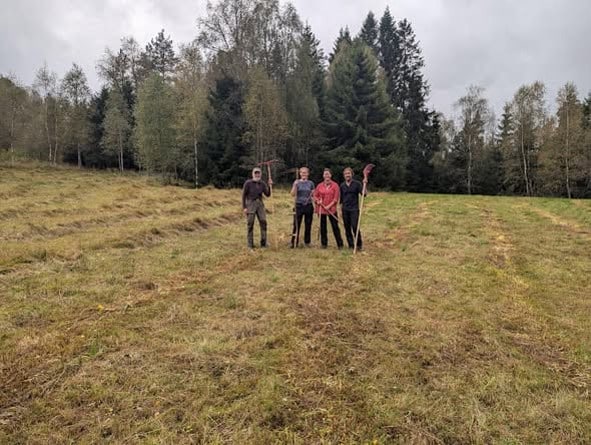 Slåttemenn og -kvinner på enga på Ulveholtet