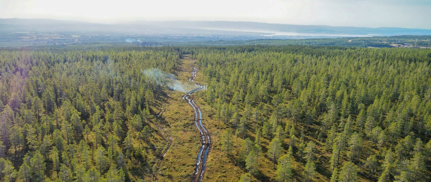 Dronefoto av skogsbilveg i Vangsåsen