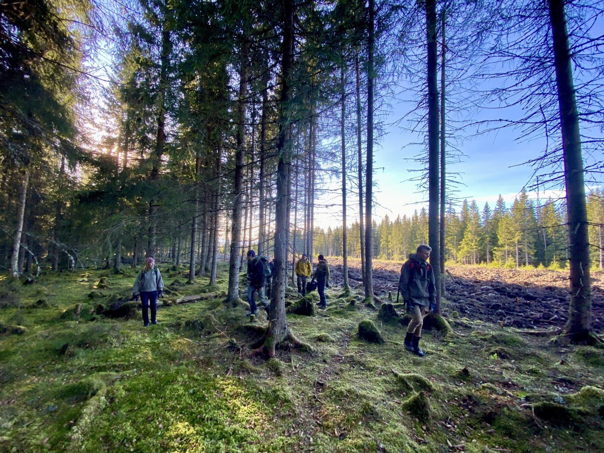 Skogutvalget på befaring i Hamar høsten 2021.