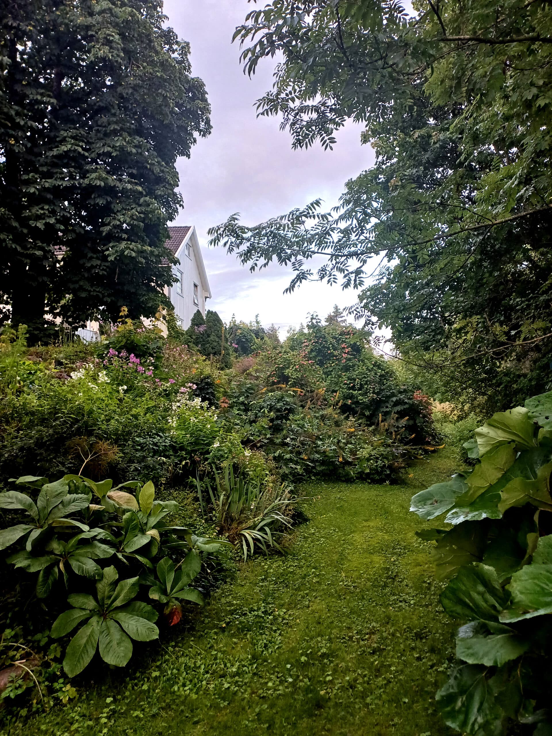 Hagevandring på Lunner