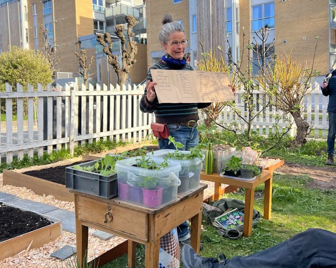 En kvinne står mellom to bord fulle av spirende planter, foran en nyetablert mathage.